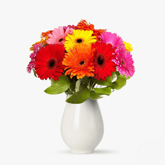 Buchet de 19 gerbera multicolore