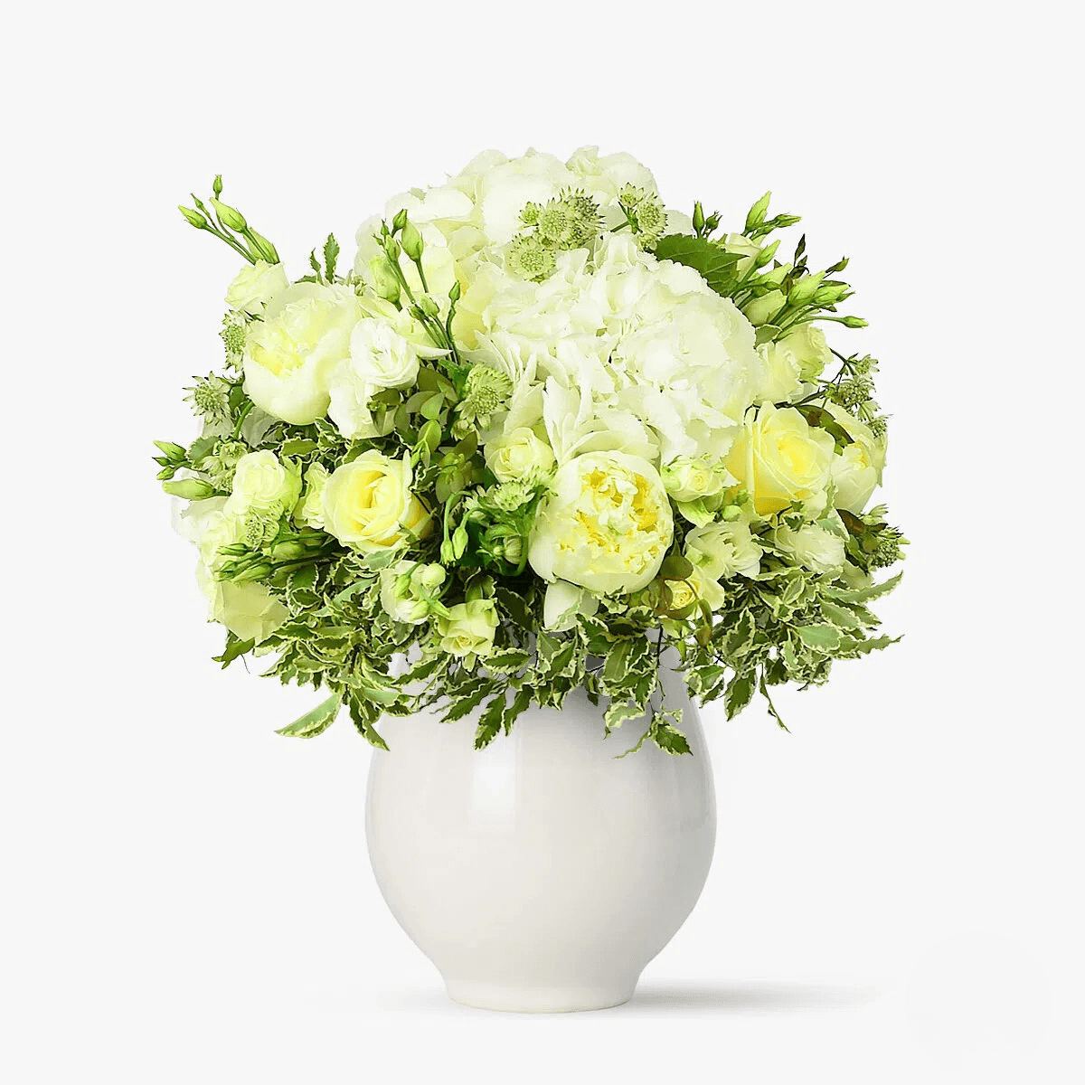 Buchet de flori cu hortensie alba, bujori albi, lisianthus alb, trandafiri crem Buchet vise albe