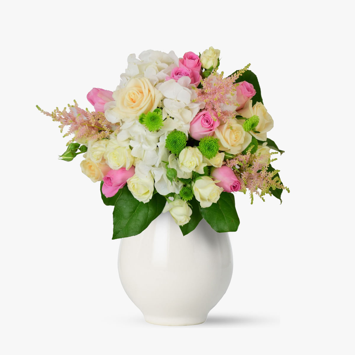 Florile Reginei – Standard Floria