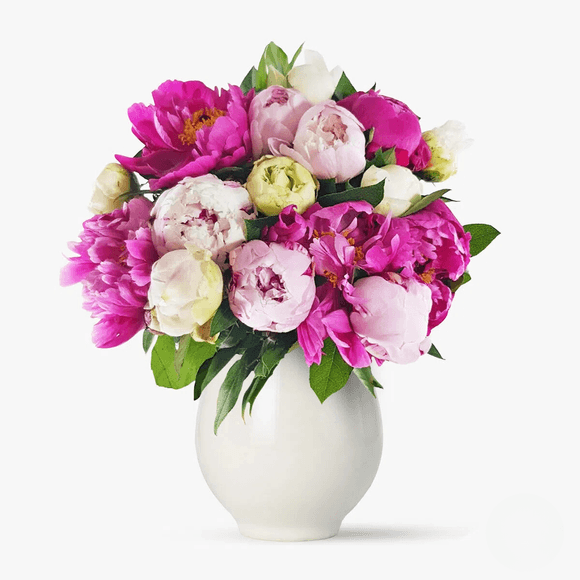 Bouquet of 15 multicolored peonies