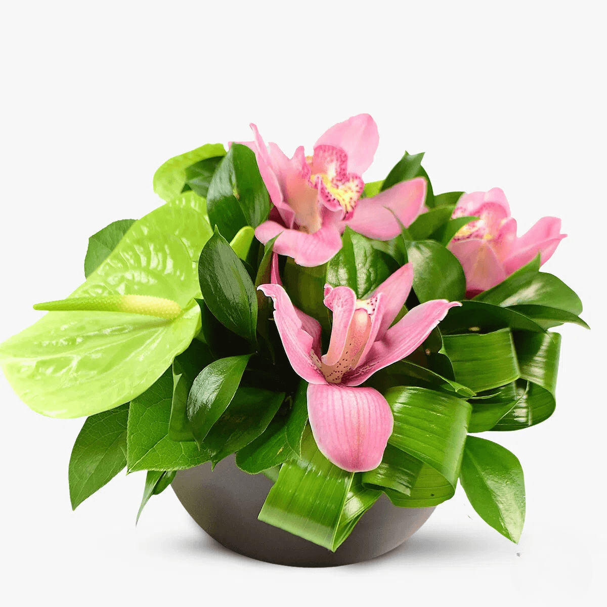 Aranjament floral cu anthurium si orhidee – premium anthurium imagine 2022