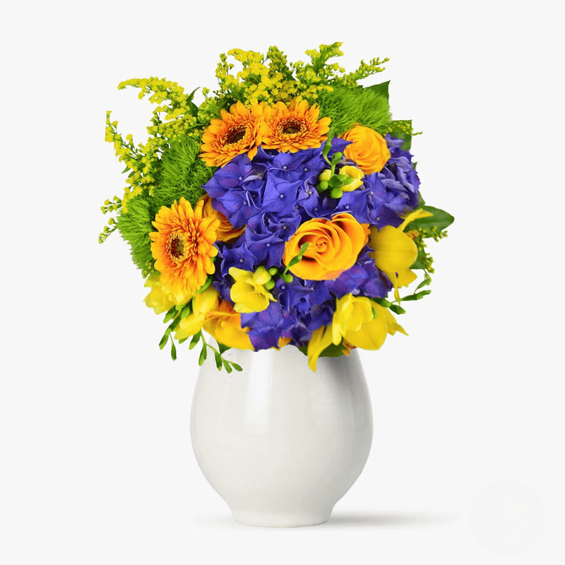 ezgif.com-webp-to