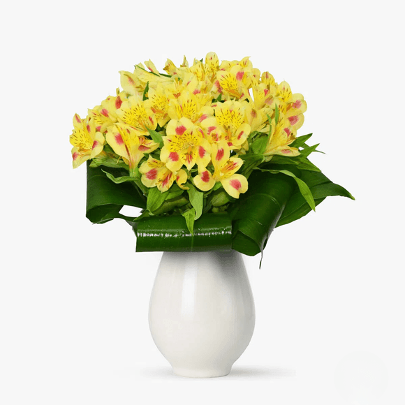 Buchet de 7 alstroemeria galbene