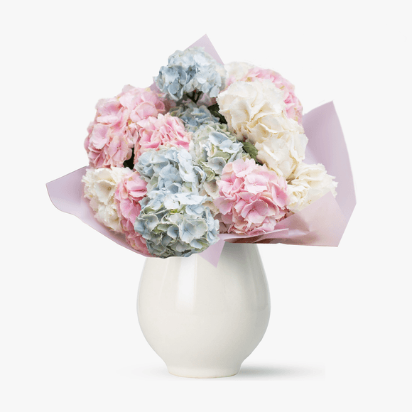 Bouquet of multicolored hydrangeas