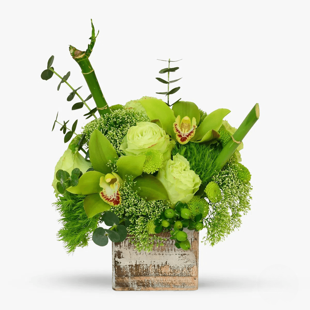 Aranjament floral cu cymbidium verde, trandafiri lime, trahelium alb, greentrick Aranjament Green Flash