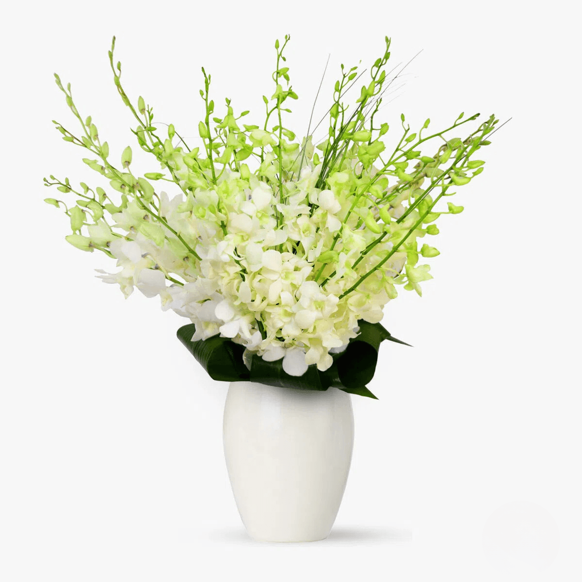 Buchet de 21 orhidee dendrobium albe - 0 | YEO
