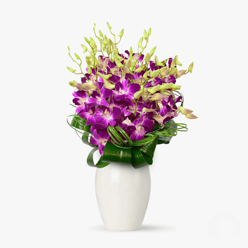 ezgif.com-webp-to