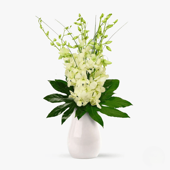 Buchet de 7 orhidee dendrobium albe