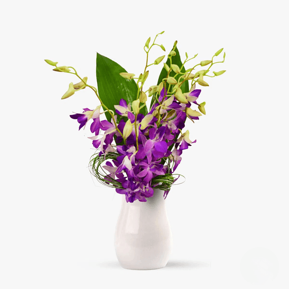 Buchet de 7 orhidee dendrobium mov