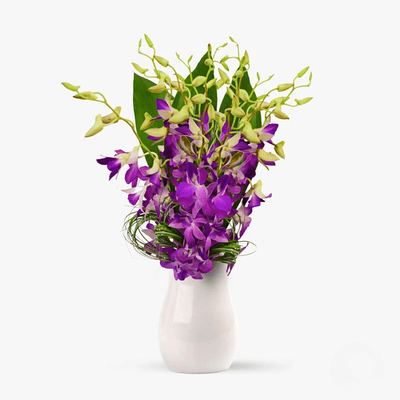 Buchet de 9 orhidee dendrobium mov