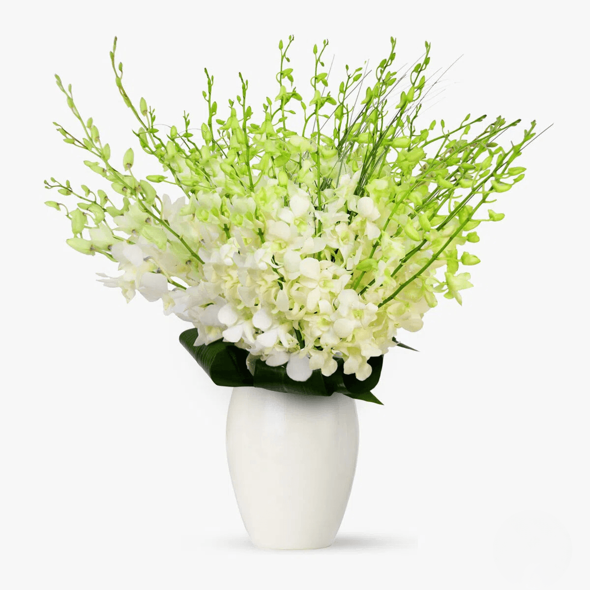 Buchet de 49 orhidee dendrobium albe pentru seara ideala