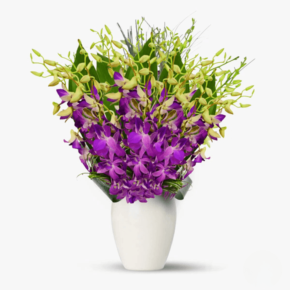 Buchet de 49 orhidee dendrobium mov