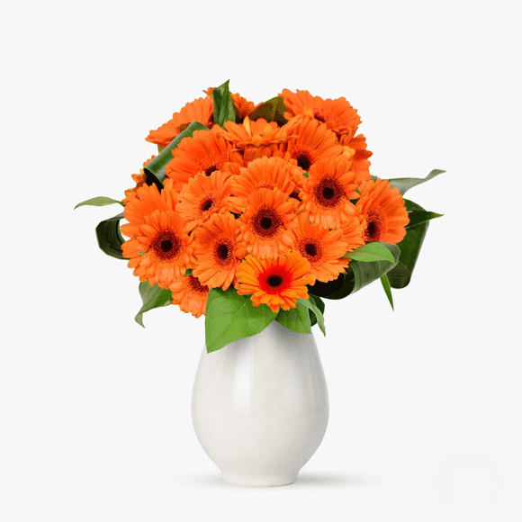 Buchet de 21 gerbera portocalii