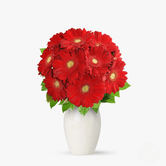 Buchet de 11 gerbera rosii