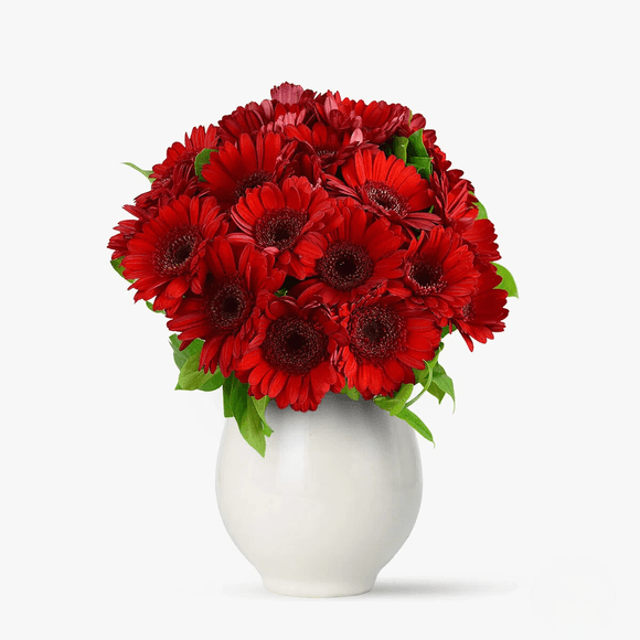 Buchet de 21 gerbera rosii