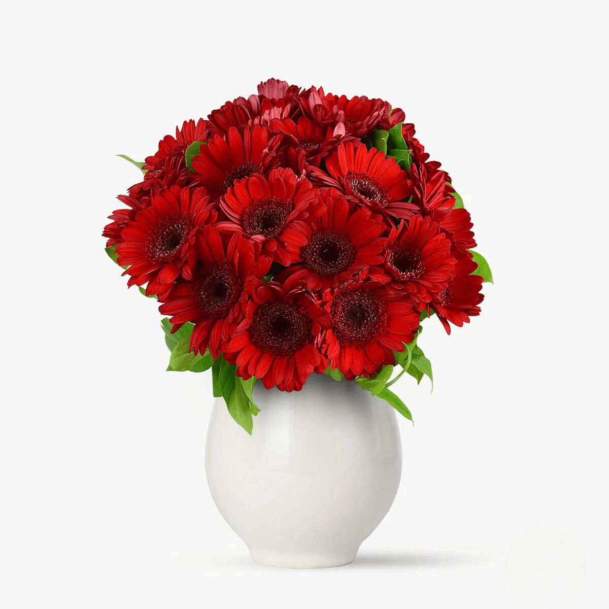 Buchet de 21 gerbera rosii - Standard