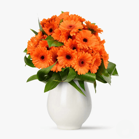 Buchet de 35 gerbera portocalii