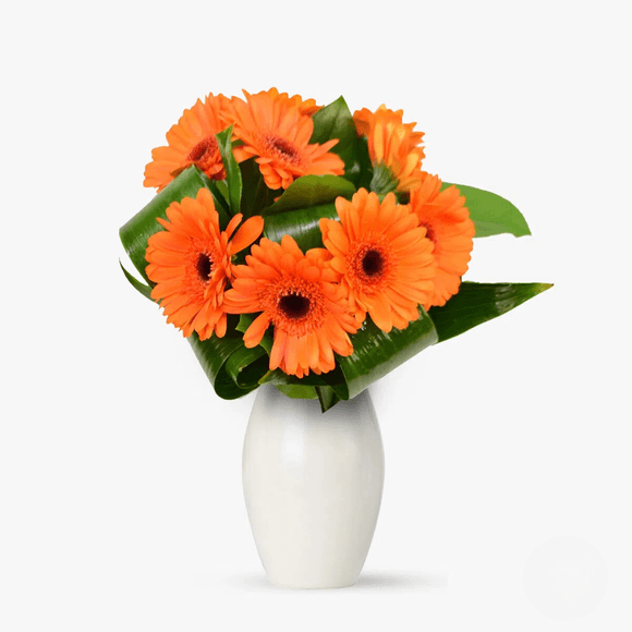 Buchet de 9 gerbera portocalii