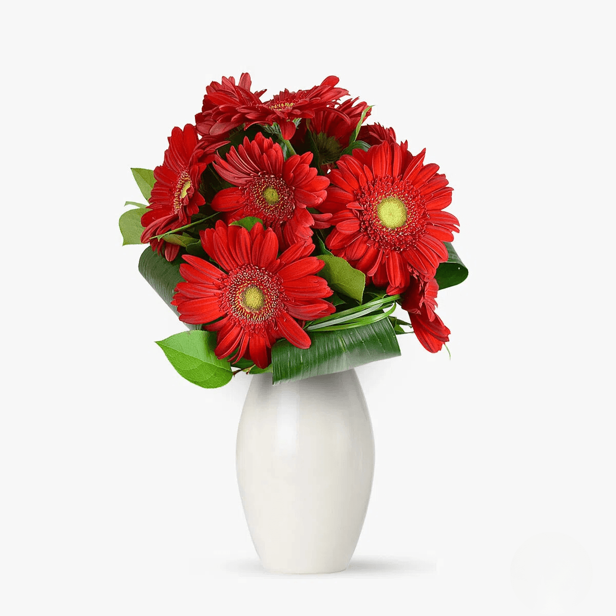 Buchet de 9 gerbera rosii