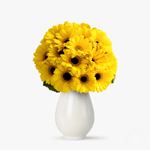 ezgif.com-webp-to