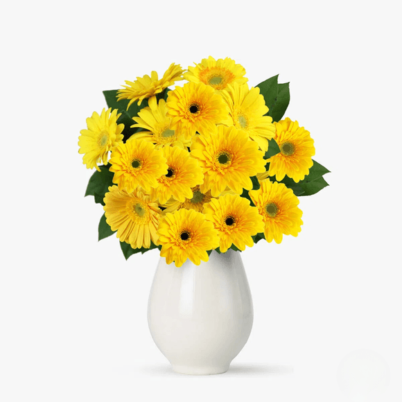 Buchet de 19 gerbera galbene