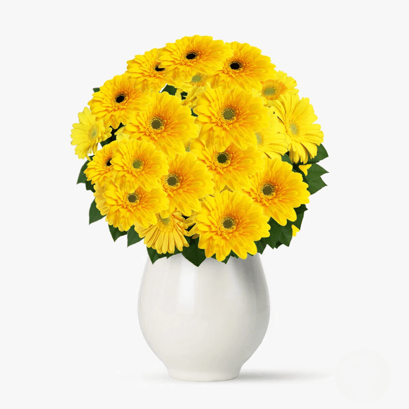 Buchet de 45 gerbera galbene