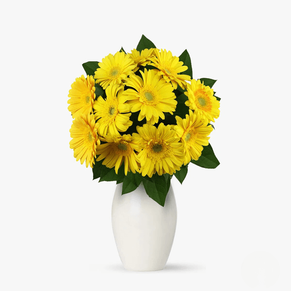 Buchet de 11 gerbera galbene