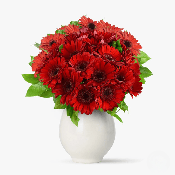 Buchet de 23 gerbera rosii