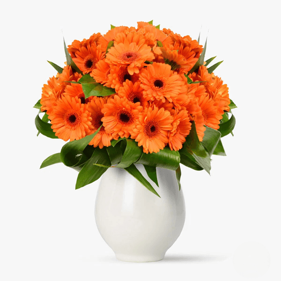 Buchet de 75 gerbera portocalii