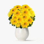 ezgif.com-webp-to