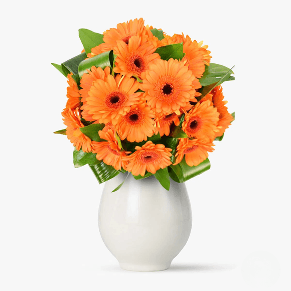 Buchet de 25 gerbera portocalii