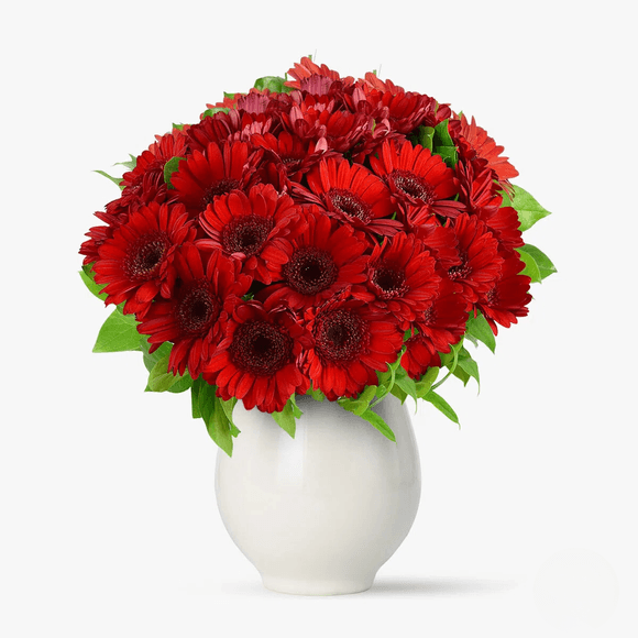 Buchet de 25 gerbera rosii