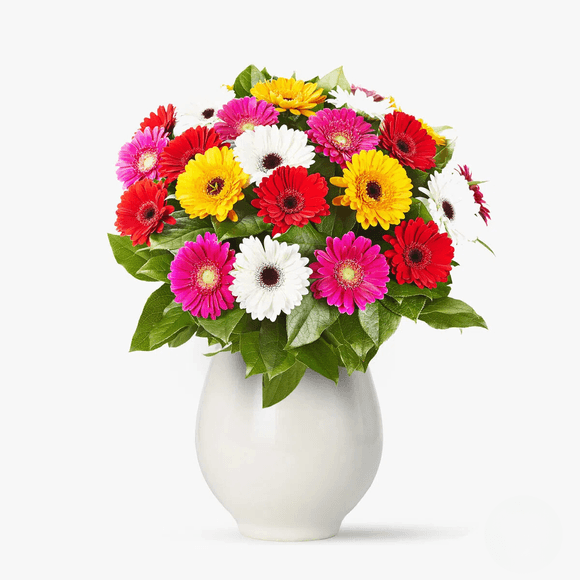 Buchet de 25 gerbera multicolore