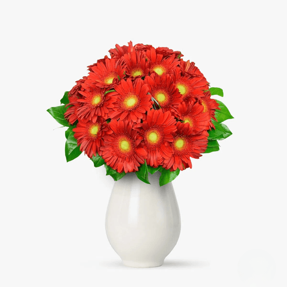 Bouquet of 19 red gerbera