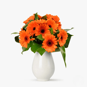 Bouquet of 15 orange gerbera