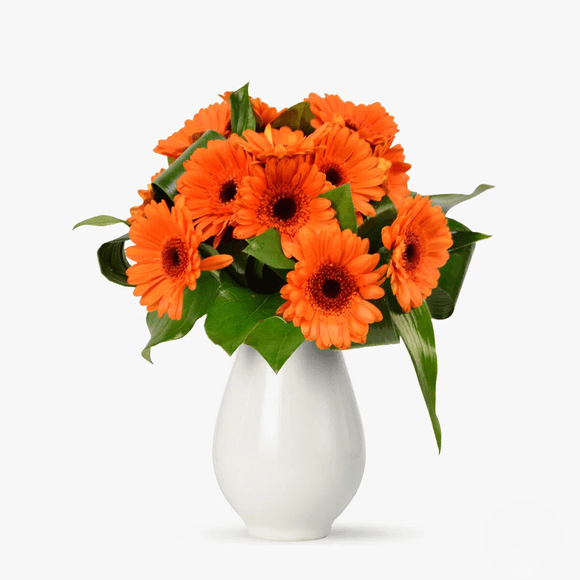 Buchet de 15 gerbera portocalii