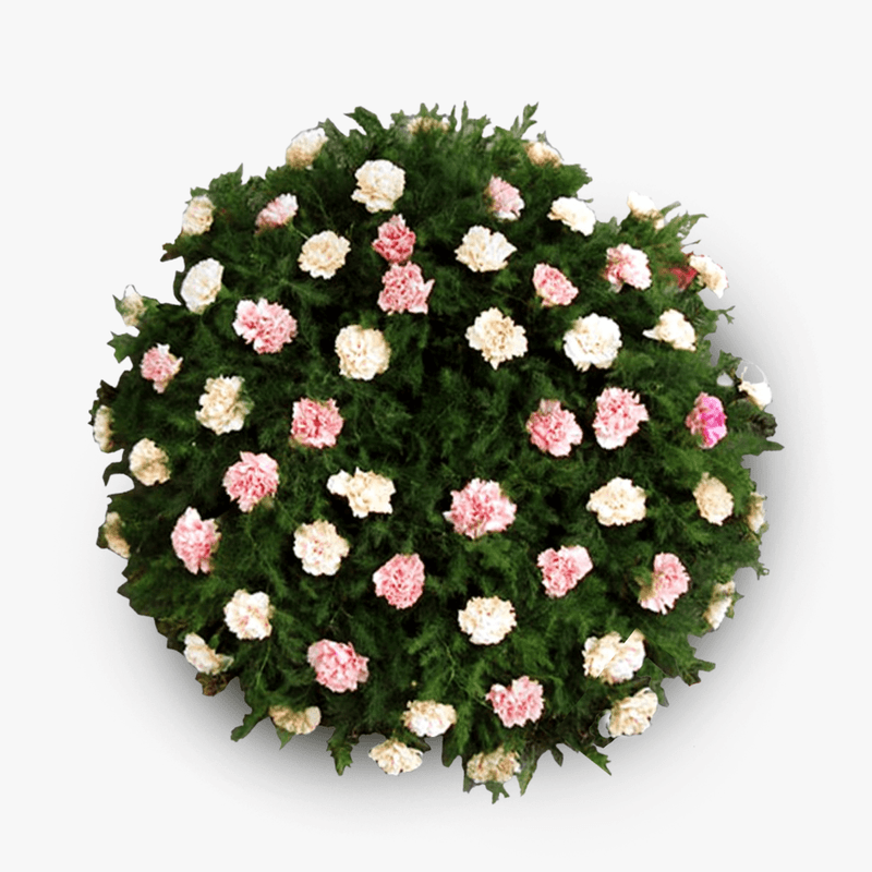 Coroana-funerara-circulara-cu-garoafe-roz