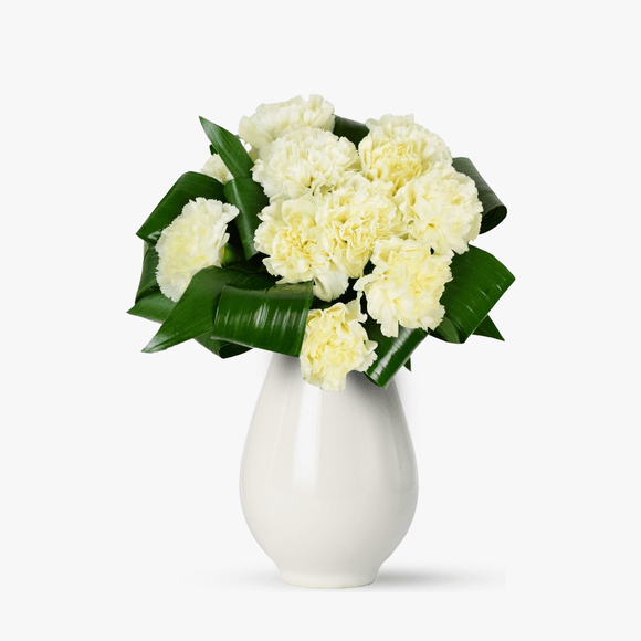 Bouquet of 11 white carnations