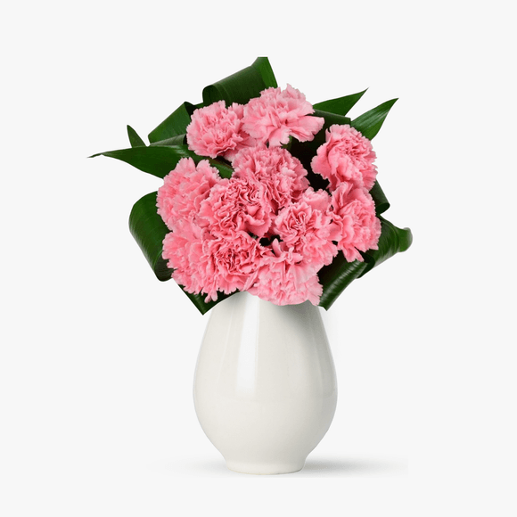 Bouquet of 11 pink carnations