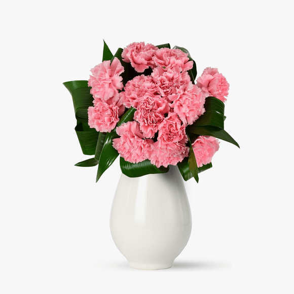 Bouquet of 13 pink carnations