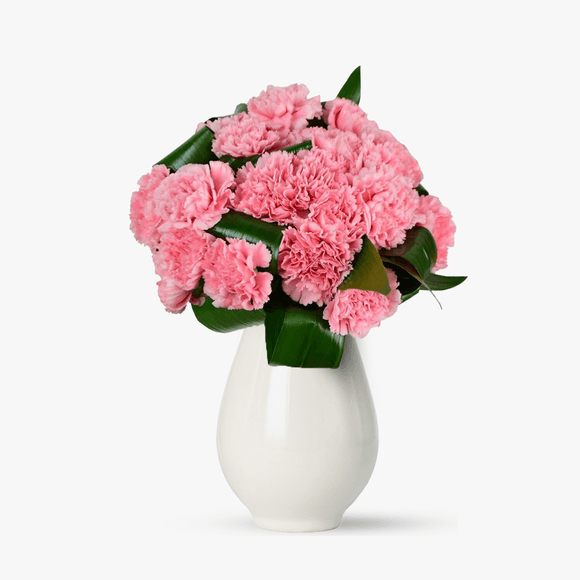 Bouquet of 15 pink carnations