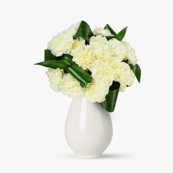 Bouquet of 15 white carnations