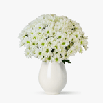 Buchet-de-17-crizanteme-albe
