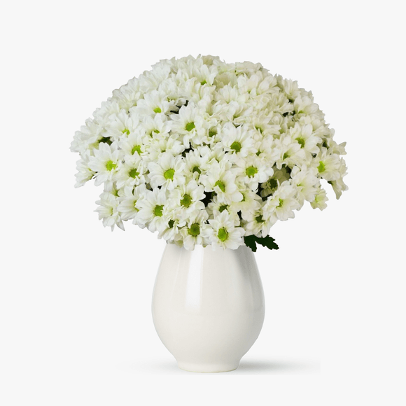 Buchet de 17 crizanteme albe