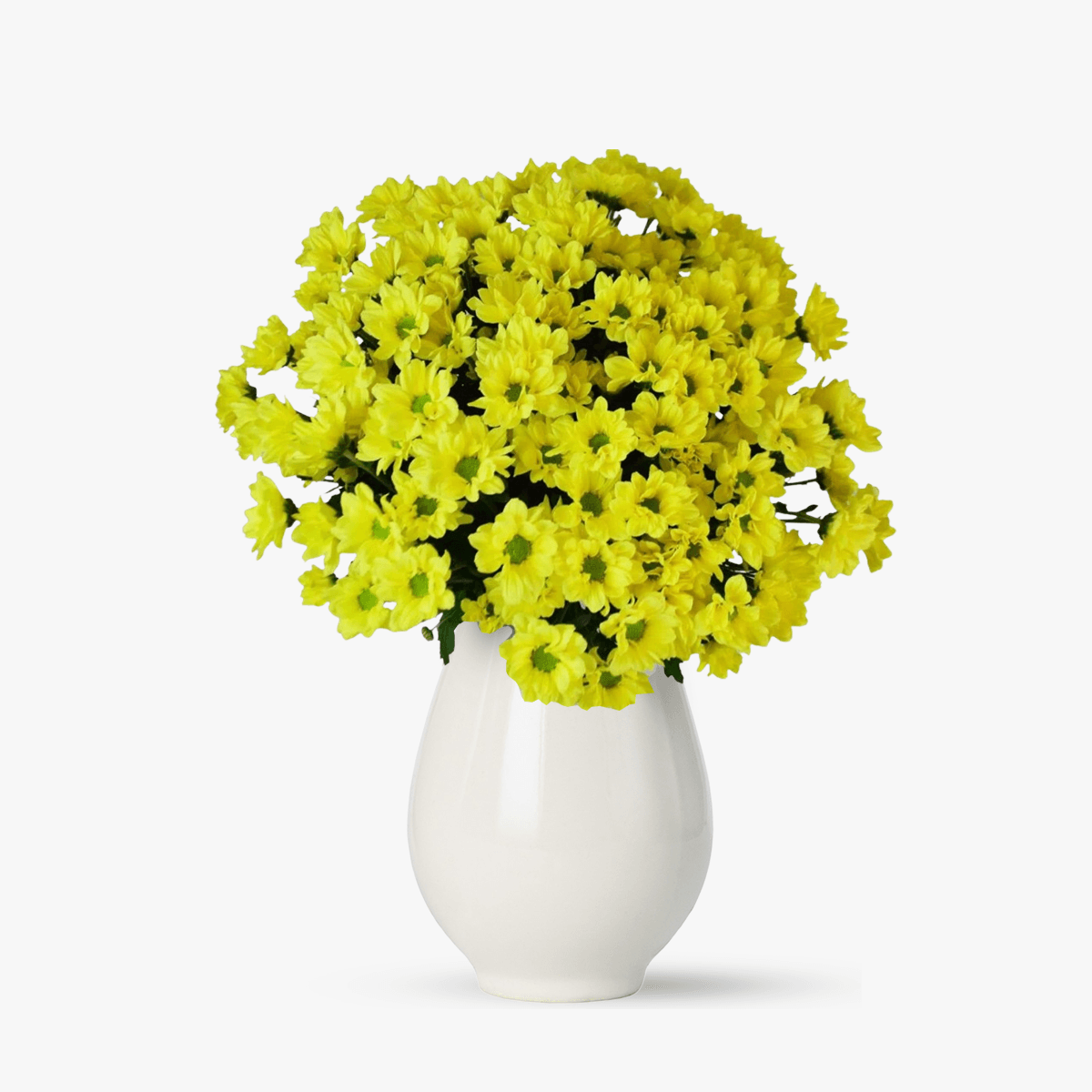 Buchet de 17 crizanteme galbene – Standard Buchet imagine 2022