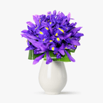 Buchet-de-19-irisi-mov