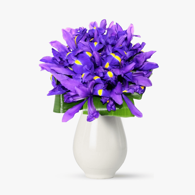 Buchet-de-19-irisi-mov