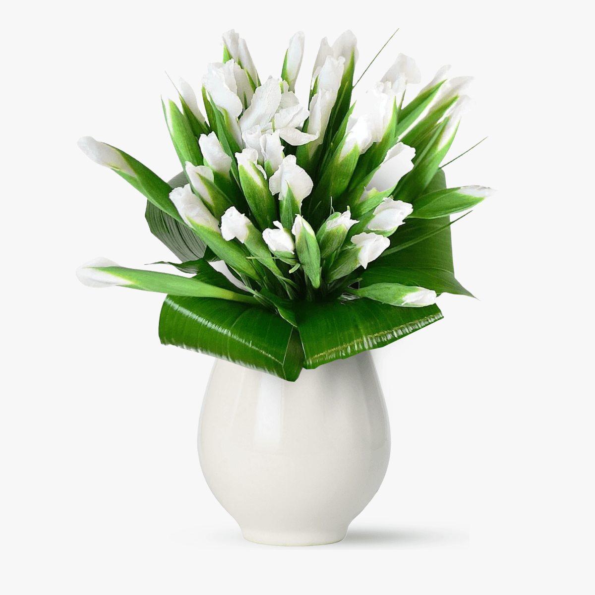 Buchet de 45 irisi albi - standard
