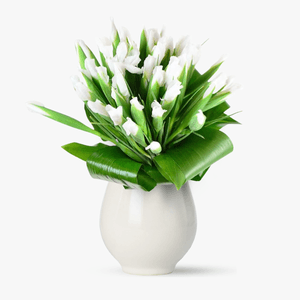 Buchet de 55 irisi albi
