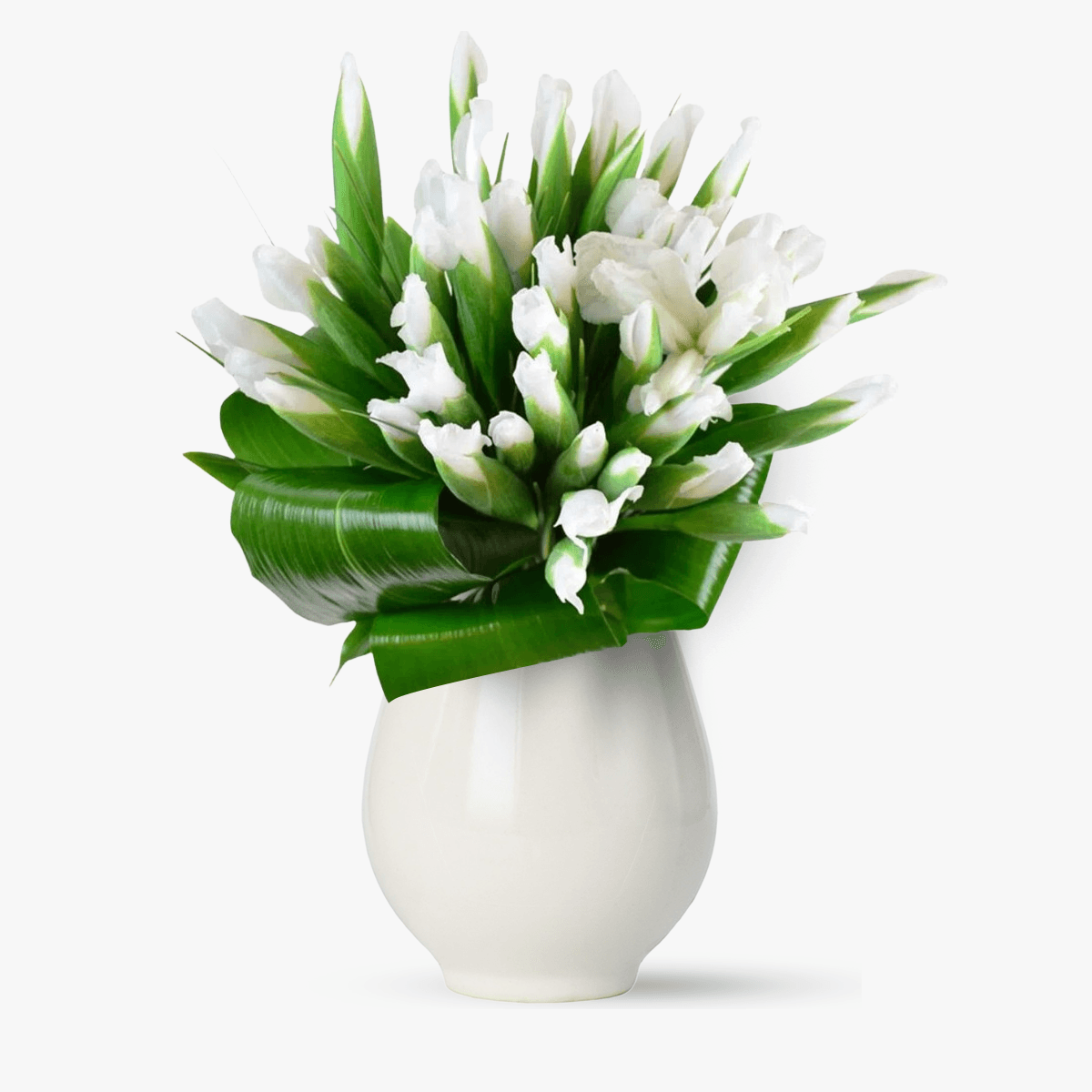 Buchet de 65 irisi albi - standard